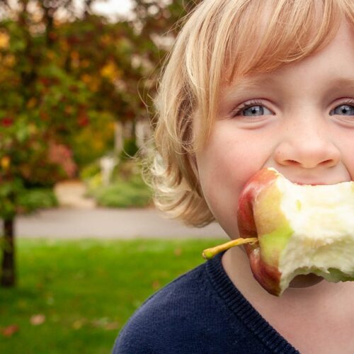 Healthy Holiday Eating for Kids: Strategies Ahead of the Busy Season
